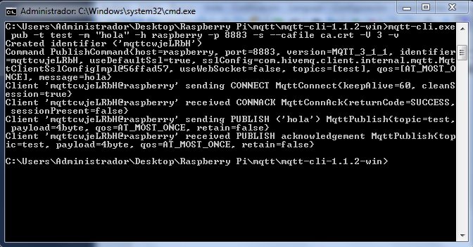 pub client mqtt